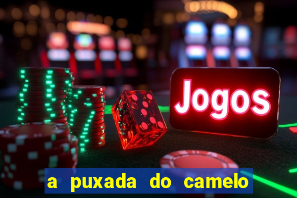 a puxada do camelo no jogo do bicho