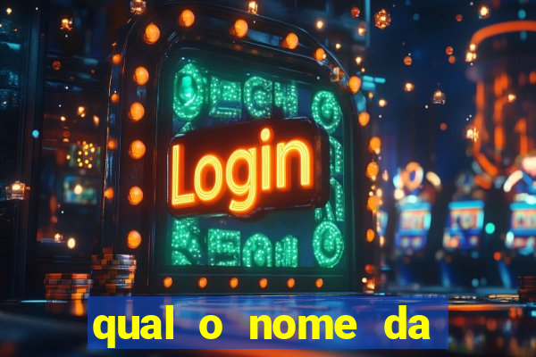 qual o nome da casinha do pinguim