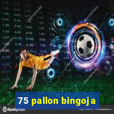 75 pallon bingoja