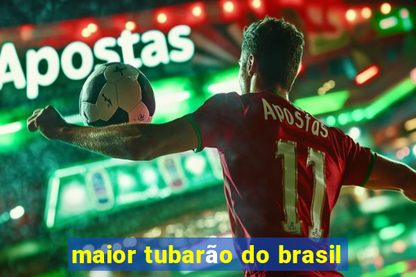 maior tubarão do brasil