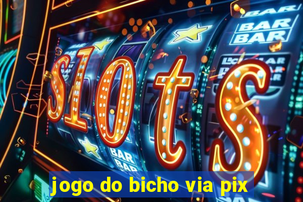 jogo do bicho via pix