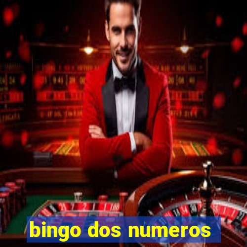 bingo dos numeros