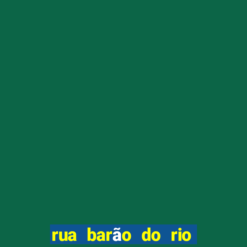 rua barão do rio branco 303