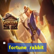 fortune rabbit melhor horário