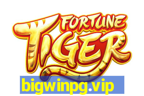 bigwinpg.vip