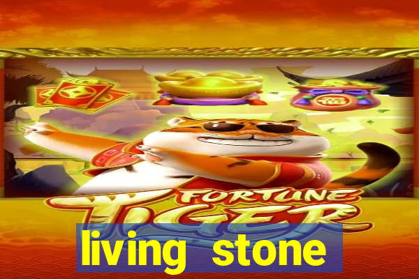 living stone network tv