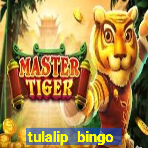 tulalip bingo casino review