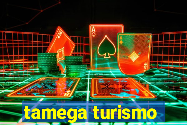 tamega turismo