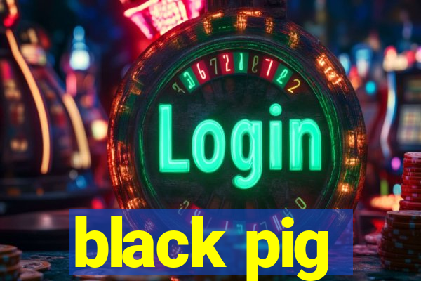 black pig