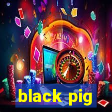 black pig