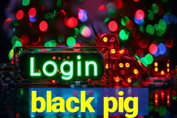 black pig