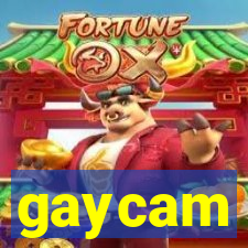 gaycam