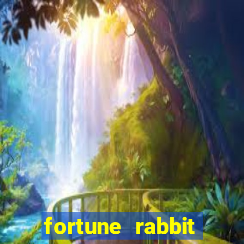 fortune rabbit teste Informational