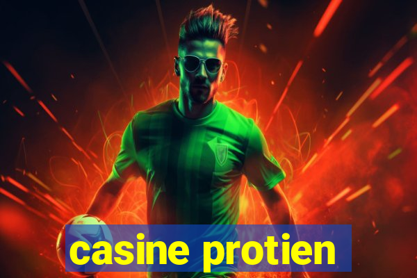 casine protien