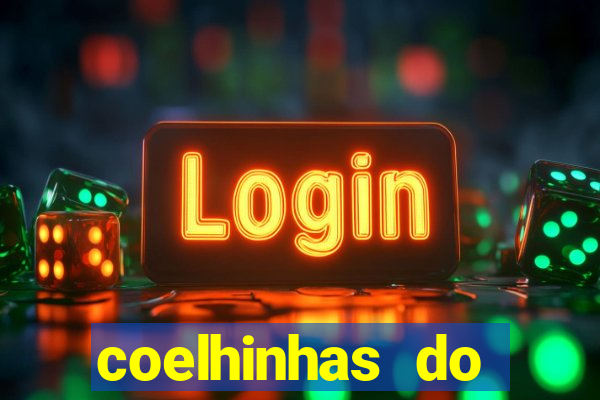 coelhinhas do brasil recife