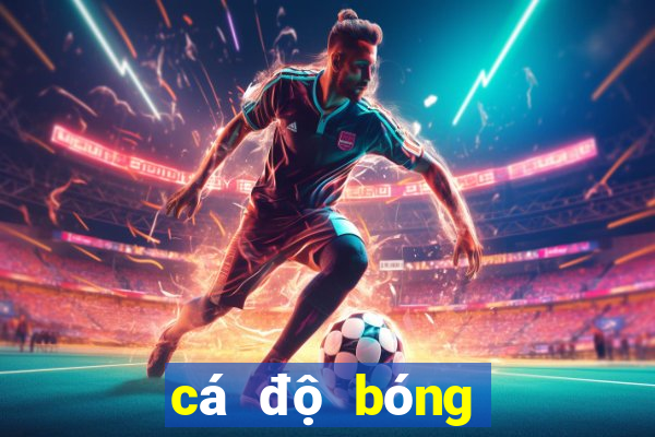 cá độ bóng đá online