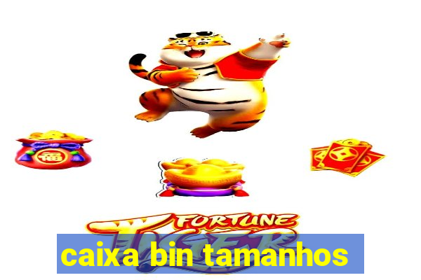 caixa bin tamanhos