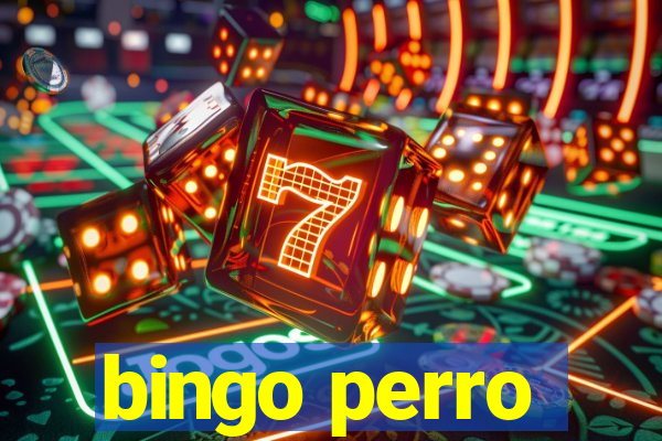 bingo perro