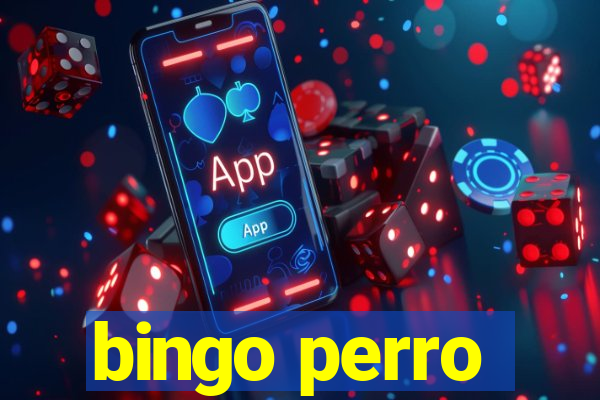 bingo perro