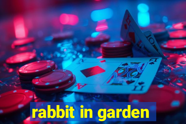 rabbit in garden