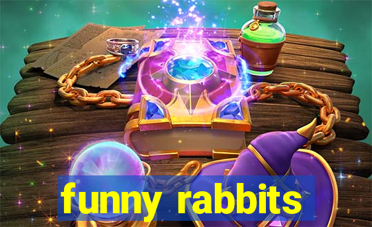 funny rabbits