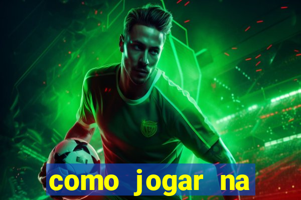 como jogar na seninha online