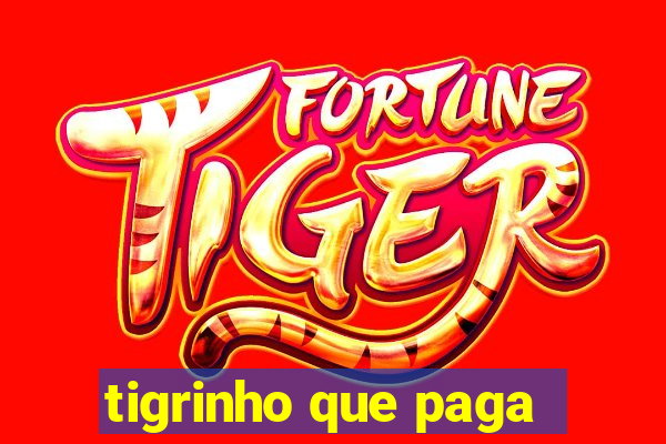 tigrinho que paga