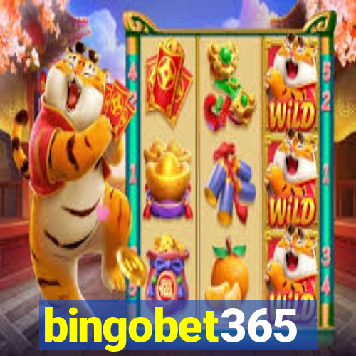 bingobet365