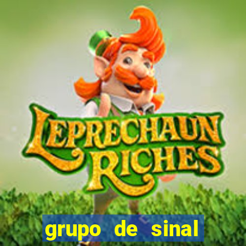 grupo de sinal fortune tiger