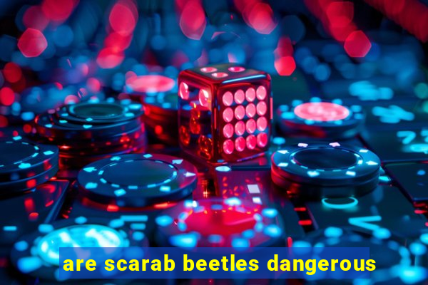 are scarab beetles dangerous