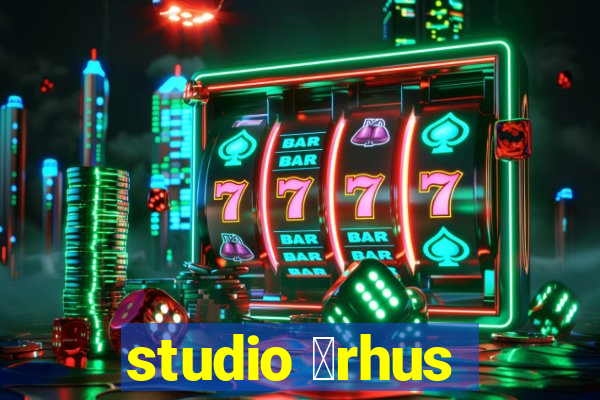 studio 氓rhus