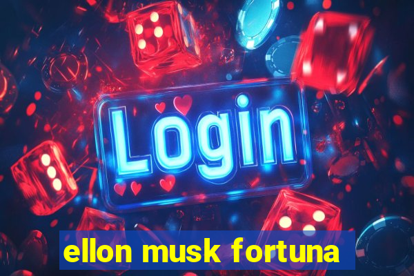 ellon musk fortuna