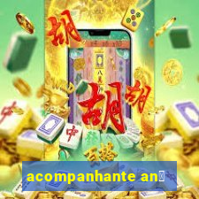 acompanhante an芒