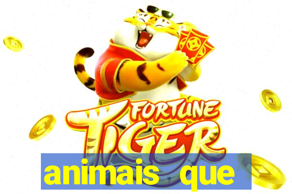 animais que produzem l茫