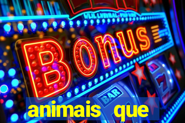 animais que produzem l茫