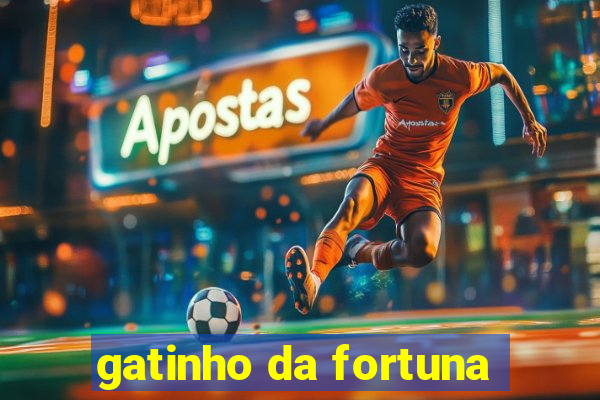 gatinho da fortuna