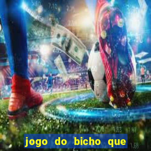 jogo do bicho que paga no pix