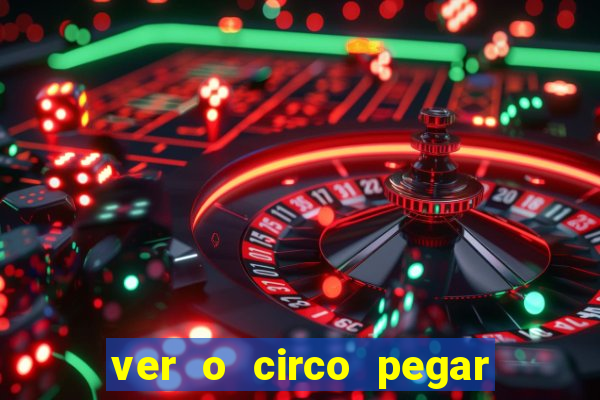 ver o circo pegar fogo significado