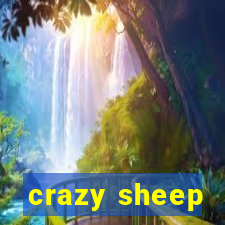 crazy sheep