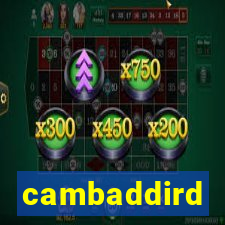 cambaddird