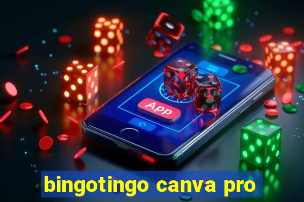 bingotingo canva pro