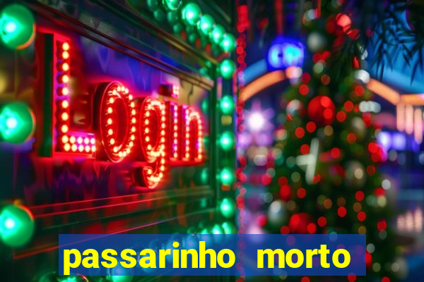 passarinho morto significado espiritual