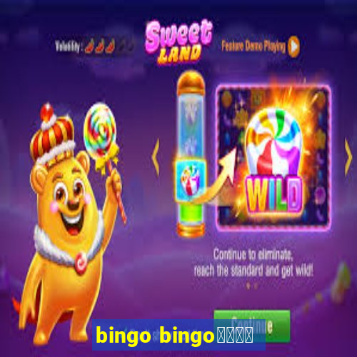 bingo bingo線上投注