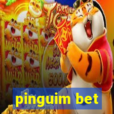 pinguim bet