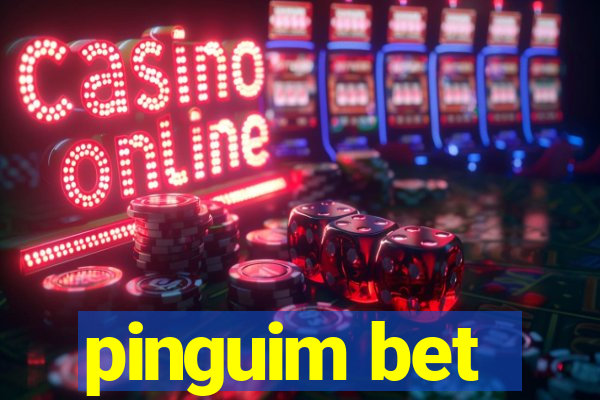 pinguim bet