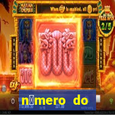 n煤mero do bate-papo da vivo