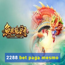 2288 bet paga mesmo