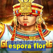 espora flor