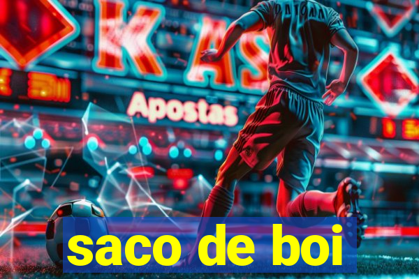 saco de boi