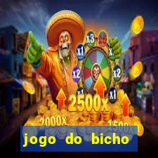 jogo do bicho banca ouro verde